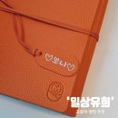 태명 | 일상유희 초음파 다이어리 토고 오렌지 태명 각인까지 내돈내산 만족 후기