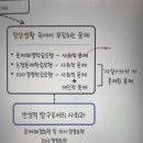 사회 문제해결학습모형 이미지