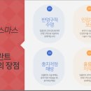 연세크리스마스치과 이미지