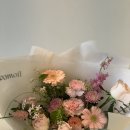 꼬모플레리