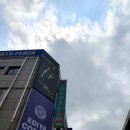 멍이와 쿤이 이미지