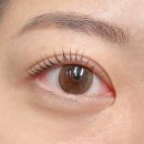 분당-381 이미지