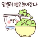 슈베르트음악학원 - 진주시 진주대로 849-4 | 슈베르트음악학원