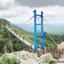출렁다리 이미지