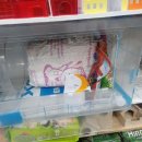 펫엔글라이더 인천점 이미지