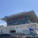 [수협활어직판장] 감포수산시장 경주횟집 부부수산 후기