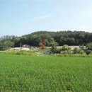 여주-1130 이미지