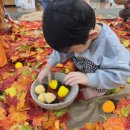 풀잎어린이집 | 부산 기장 정관 홈플러스 문화센터 풀잎아이 오감놀이 1년 꽉꽉 채워 들은 수강후기 박남선선생님 수업