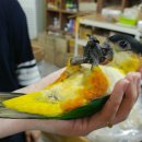 에덴파크 이미지