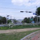 구지면사무소 이미지