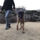 산이네집 이미지