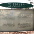 영주읍내리석불입상 이미지