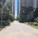 포항이동중학교 이미지