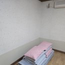 비탈길굽이돌아 | [비탈길 굽이돌아] 영월 강앞 낙원뷰 펜션 재방문