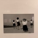 회현역 피크닉 전시 [우에다 쇼지 모래극장] 내돈내산 후기