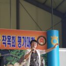 순정감자 이미지