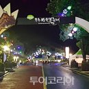 무주반딧불투어 이미지