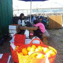 민상농장 이미지