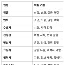 블라디미르 프로프의 등장인물 유형 7가지와 크리스토퍼 보글러의 캐릭터 원형 8가지 이미지