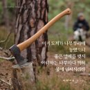 스바냐 1:14 – 2:3 심판의 날을 이기는 공의와 겸손의 삶 이미지