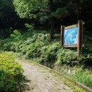 팔용초등학교 이미지