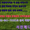 진솔메디텍 이미지