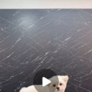 빵그루밍 이미지