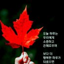 12월11일 토요일 헤드라인 뉴스 이미지