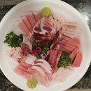 참치야놀자 이미지