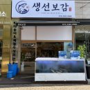 송어회전문점 | 안산 생선보감_ 안산 고잔동 활송어회 세트 후기