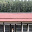 스테이 풍 이미지