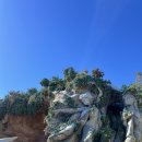 씨젤리피쉬 | [도쿄] 디즈니씨 꿀팁과 후기 1탄🌟 (라푼젤, 겨울왕국)