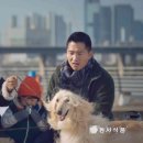 초코초코PC 이미지