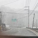 [전북 진안] 마이산 탑사 갔다가 폭설 온 후기! 운영시간, 주차장, 카페 추천