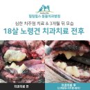 힐링힐스 동물 치과병원 이미지