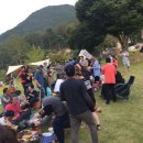 티피클럽 이미지