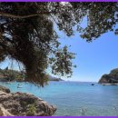 대기정책과 이미지