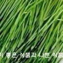 좋은콩식품 이미지