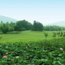 엘리시안 호텔 이미지