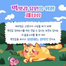 차동물병원 이미지