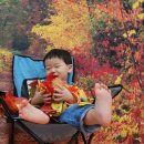 키즈오렌지 어린이집 이미지