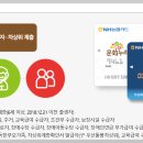 문화누리기 이미지