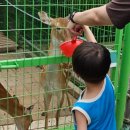 미사리 승마공원 | 아이랑 하남 여행 미사리 승마공원 방문 후기