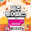 제주도여행 제주투어패스 후기 1일차 (도두몰,함덕해수욕장,목장카페드르쿰다 카트,성읍랜드승마...