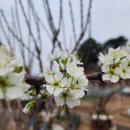 백천농장 이미지