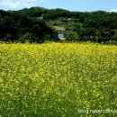 리메드팜 이미지