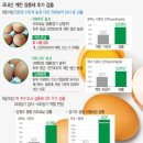 강원계란