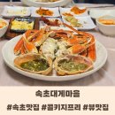 속초대게마을 | 속초 대게 맛집 내돈내산 &#39;속초대게마을&#39; 자세한 솔직 후기