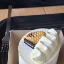 미리내노래방 | [25년9월/일기] 9월의 하루🎶