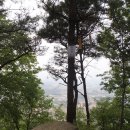 고창남중학교 이미지